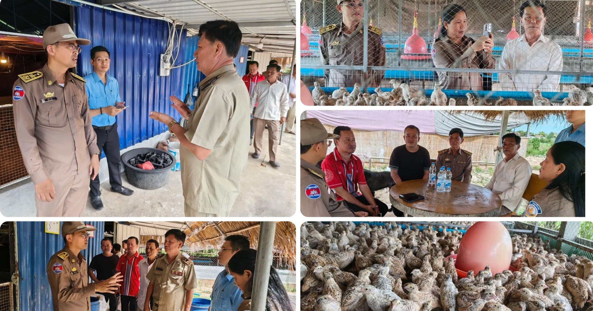 ឯកឧត្តម មឿង គង្គា អភិបាលរងខេត្ត ចុះពិនិត្យ និងជំរុញសមាជិកចលនា «ភូមិមួយផលិតផលមួយ» នៅកសិដ្ឋានចិញ្ចឹមសត្វក្រួច ក្នុងក្រុងកំពត
