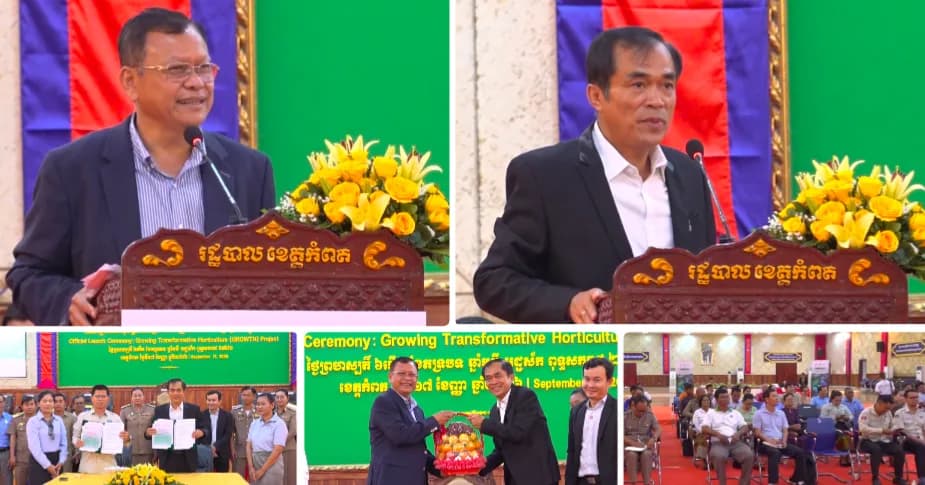 អង្គការសង្គ្រោះកុមារចាប់ផ្តើមអនុវត្តគម្រោងអភិវឌ្ឍវិស័យដាំដុះបន្លែដ៏ធំមួយនៅខេត្តកំពត