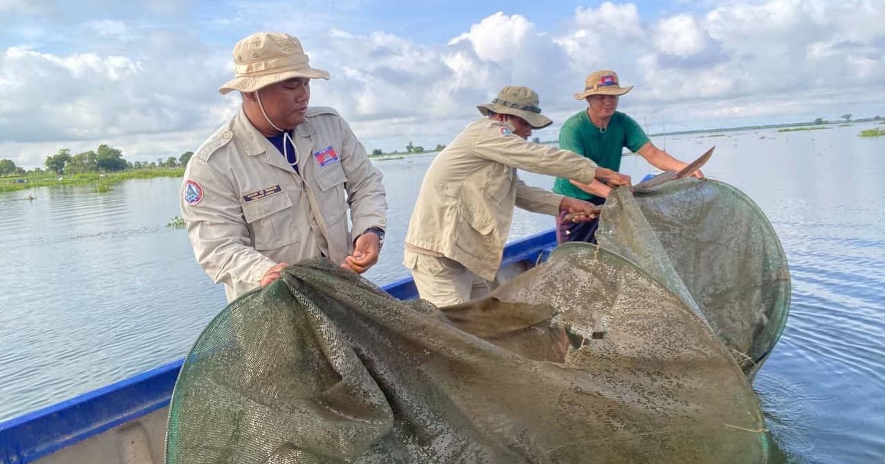 កូនត្រីចម្រុះទម្ងន់ជាង ៤០គីឡូក្រាម បានចាក់លែងចូលបឹងធម្មជាតិវិញ និងឧបករល្មើសជាច្រើន ត្រូវបានជំនាញជលផលបំផ្លាញចោល នាពេលចុះបង្ក្រាបបទល្មើស ២ករណី នៅក្នុងភូមិសាស្ត្រស្រុកកំពង់សៀម