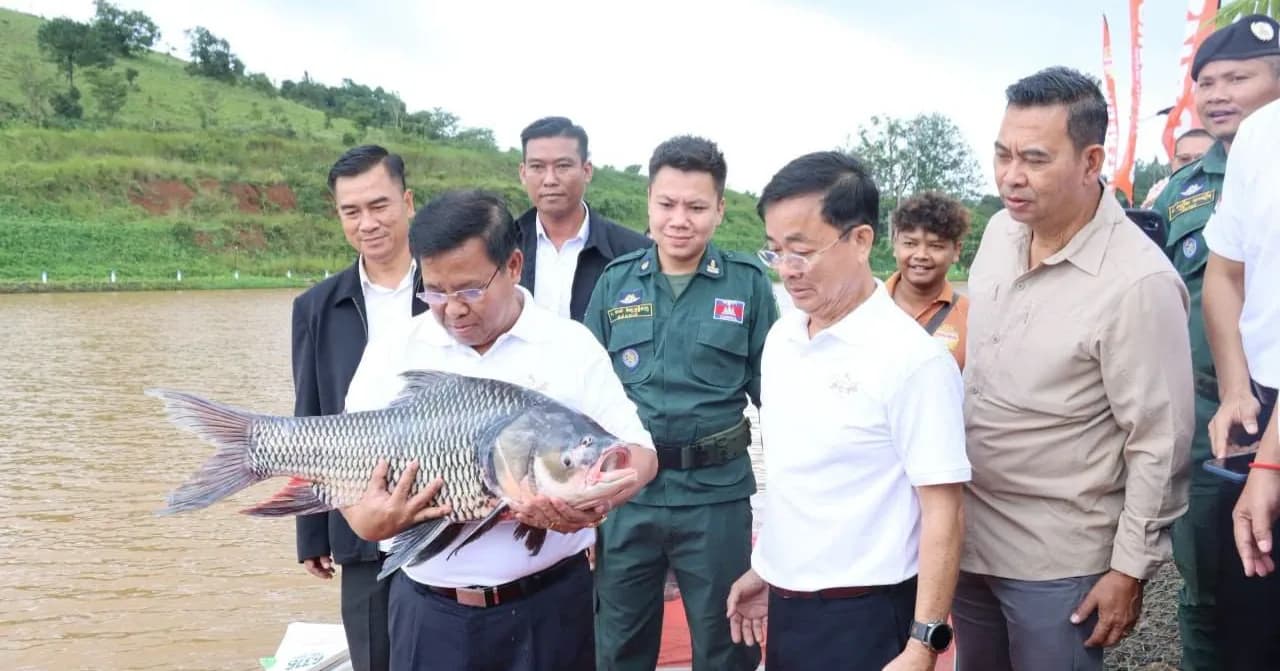 អាជ្ញាធរខេត្តមណ្ឌលគិរី រៀបចំយុទ្ធនាការលែងកូនត្រីពូជចម្រុះ ២០ម៉ឺនក្បាល ចូលក្នុងសហគមន៍ស្រះជម្រកត្រី និងទំនប់ទឹក ដើម្បីបង្កើនផលស្តុកត្រីធម្មជាតិ
