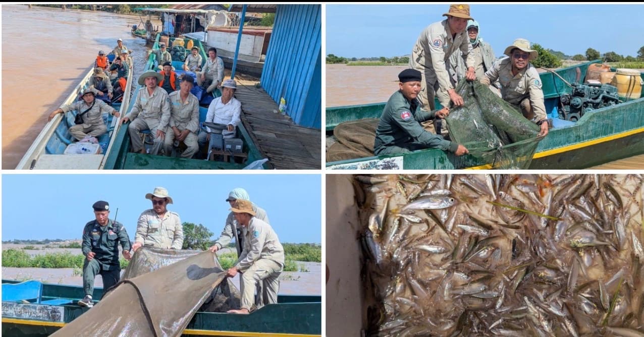 ជំនាញជលផល បានរុះរើ បំផ្លាញឧបករណ៍ល្មើស និងលែងកូនត្រីចម្រុះប្រមាណជិត ៥០គីឡូក្រាម ចូលក្នុងបឹងធម្មជាតិវិញ