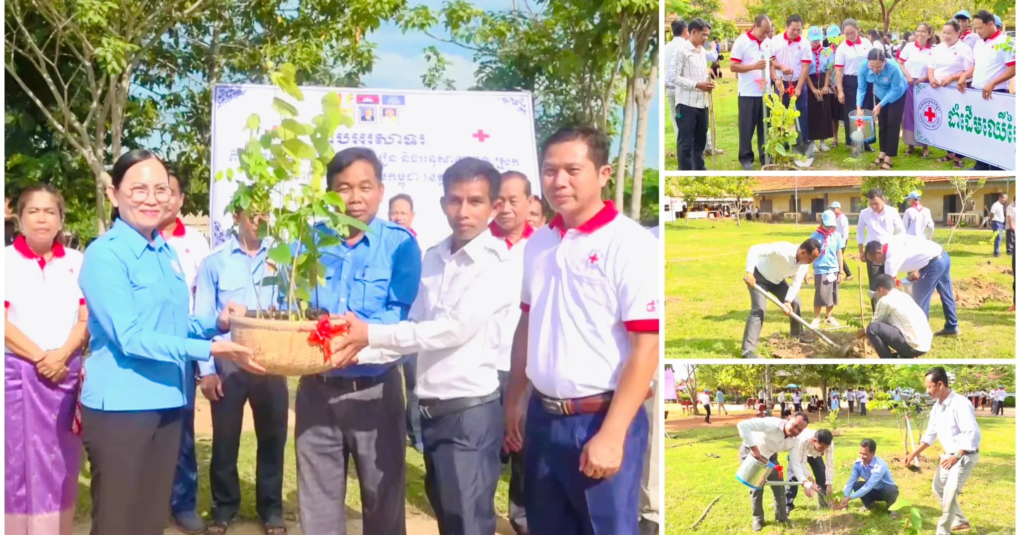 សាខាកាកបាទក្រហមកម្ពុជាខេត្តកំពត ជំរុញសិស្សានុសិស្សឲ្យចូលរួមដាំ និងថែរក្សាដើមឈើ